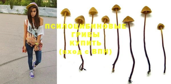 молекула духа Абинск